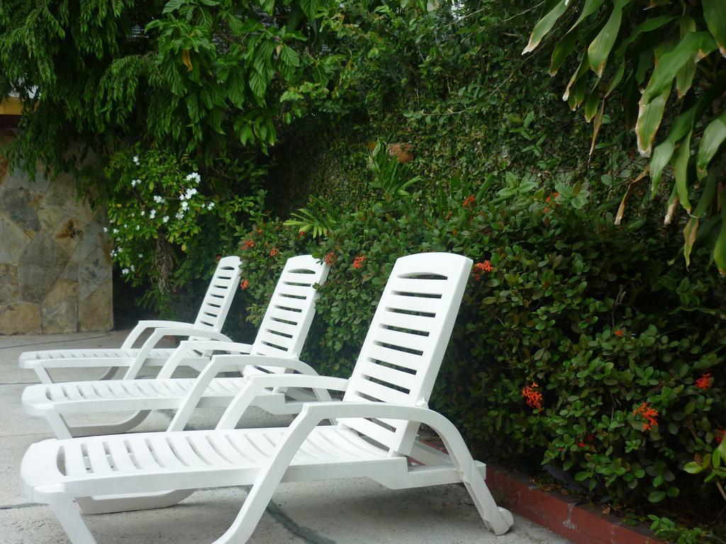 Hostal Cocos Inn Πόλη του Παναμά Εξωτερικό φωτογραφία